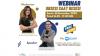 Bahas Strategi Investasi, MNC Asset Kolaborasi dengan Indopremier Gelar Webinar Gratis