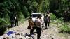 Sopir yang Nyasar di Hutan Angker, Mobilnya Diketuk Perempuan Rambut Panjang