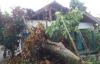 Sejumlah Rumah di Bantul-Gunungkidul Tertimpa Pohon Tumbang