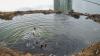 Antisipasi Banjir Jakarta, Lumpur Waduk Ria Rio Dikeruk - Bagian 3