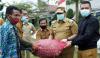 Dairi Dapat Bantuan Benih Bawang Merah 15 Ton dari Pemprov Sumut