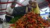 Harga Cabai Naik Jadi Rp30.000 per Kg di Jember - Bagian 1