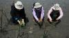 Hari Pohon Sedunia, Relawan Tanam Mangrove dan Bersih-Bersih Pantai Tirang Tapak - Bagian 4
