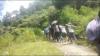 Akses Sulit Dilalui Kendaraan, Ibu Hamil di Luwu Utara Ditandu 3 Km ke Rumah Sakit