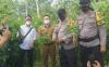 Kavling Siap Jual Ditanami Ganja, Lokasi Pinggir Jalan Raya di Pagaralam