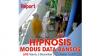 Special Report iNews Kamis Pukul 15.30: Hipnosis Modus Data Bansos