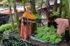 Gubernur Jateng Apresiasi Program Pemberdayaan Urban Farming Warga Bambankerep Semarang