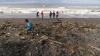 Pantai Trisik Yogyakarta Dipenuhi Sampah dari Muara Sungai Progo - Bagian 2