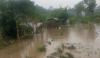 Banjir Bandang Terjang Blitar, Jembatan Putus Puluhan Hektare Sawah Terendam 