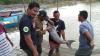 Nelayan Selamatkan Ikan Duyung Terdampar akibat Cuaca Ekstrem