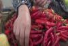 Video Jelang Natal dan Tahun Baru, Harga Cabai Merah Tembus Rp70 Ribu per Kg