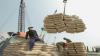 Australia Beli 22.000 Ton Semen asal Sulut 