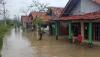 Banjir Rendam Desa Mojo Pemalang, Ratusan Warga Terisolir