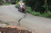  Purbalingga Waspada Longsor dan Gerakan Tanah saat Hujan Deras 