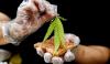 Diduga Bawa Ganja, Mantan Suami Artis Terkenal Diringkus Polisi di Purwakarta