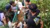 Detik-Detik Penyelamatan Anak Harimau Sumatera dari Jerat Pemburu - Bagian 3