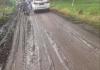 Waspada, Jalan Berlumpur di Pamotan-Gambiran Rembang Rawan Kecelakaan 