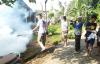 Awas, Selama Januari Sudah Ada 17 Kasus DBD di Kulonprogo