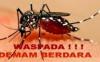 Warga OKU Diimbau Waspadai Penyakit DBD