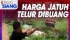 "iNews Siang" Live di iNews dan RCTI+ Selasa Pukul 11.00: Harga Jatuh, Telur Dibuang