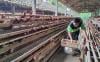 Harga Telur Ayam di Kulonprogo Menggelinding Turun, Peternak Terancam Merugi