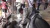 Penampakan Rumah Jagal Kucing di Medan, Ada Karung Berisi Kepala dan Darah Berceceran