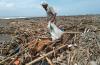 Pantai Trisik Kulonprogo Dipenuhi Sampah dari Banjir Kiriman