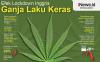 Infografis Lockdown Bikin Ganja Laris Manis di Inggris