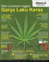 Infografis Lockdown Bikin Ganja Laris Manis di Inggris