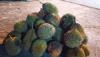 Panen Durian di Kalbar Merosot, Ternyata Ini Penyebabnya