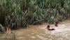Video Pria Tewas Terseret Banjir di Gunungkidul usai Cari Belalang
