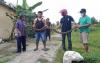 Warga Lasem Rembang Dihantui Ketakutan, Serbuan Ular Piton Makin Mengganas