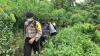 Pamit Cari Pakan Kambing, Lasiyo Hilang Misterius 