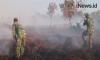 Video 6 Hektare Lahan Gambut Terbakar di Nagan Raya Aceh