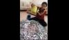  Petani di Pemalang Ini Bongkar Celengan Hasil Menabung 5 Tahun, Jumlahnya Fantastis