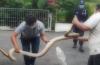Video Evakuasi 3 Ular Sanca di Rumah Warga Pangkalpinang  