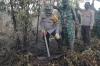 Karhutla Riau Makin Meluas, Lahan Terbakar Capai 657 Hektare di 10 Wilayah