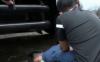 Video Sat Narkoba Polres Jakbar Ungkap 12 Hektar Ladang Ganja di Madina