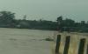 Viral Pria Buang Sampah ke Sungai Musi, Netizen: Banjir Salahkan Pemerintah