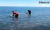 Video Warga Berburu Emas di Pantai Pohon Batu Maluku Tengah