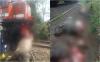 Mengerikan, Rel Kereta Api di OKU Dipenuhi Potongan Tubuh Belasan Ekor Kerbau