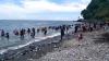 Informasi Tersebar, Makin Banyak Warga Dulang Emas di Pantai Pohon Batu