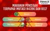 Infografis Makanan Sehat untuk Lindungi Tubuh dari Covid