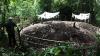 Fenomena Tanah Makam Meninggi di Padang Pariaman, Ahli Geologi Turun Tangan - Bagian 1