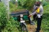 Diduga Jatuh dari Pohon Kelapa, Buruh di Kulonprogo ditemukan Tewas