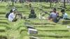 Perasaan Orang Tua di Alam Kubur saat Diziarahi atau Didoakan Anaknya