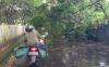 Sumsel Waspada Potensi Bibit Siklon Tropis 94W, BNPB Surati Gubernur 