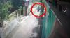 Video Perempuan Gendong Anak Balita Curi Motor di Mojokerto