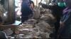 Harga Daging Ayam Kampung di Pasar Kendal Tembus Rp80.000 per Kilogram