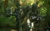 Hutan Papua Angker, Prajurit Kopassus Cerita Pernah Dipijat dan Berbagi Rokok dengan Makhluk Gaib